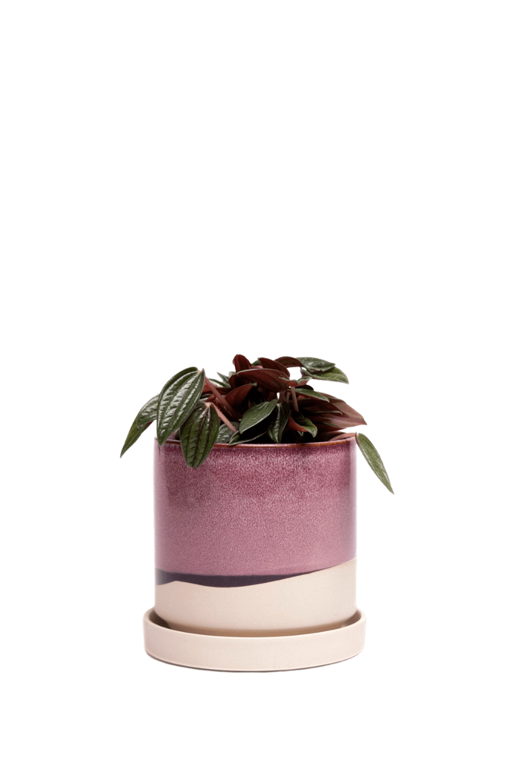 Burgundy Medium Ceramic Pot with Drainage Hole and Saucer - Minute -handmade by Chive Studio Toronto