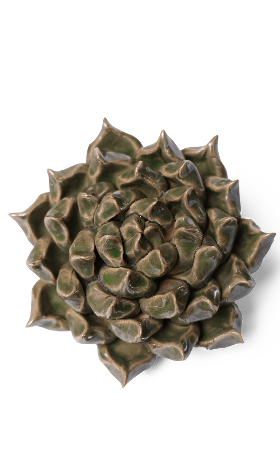 Green Succulent 6 - Classic Collection - handmade by Chive Studio Toronto