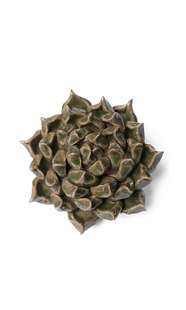 Green - Succulent - handmade by Chive Studio Toronto