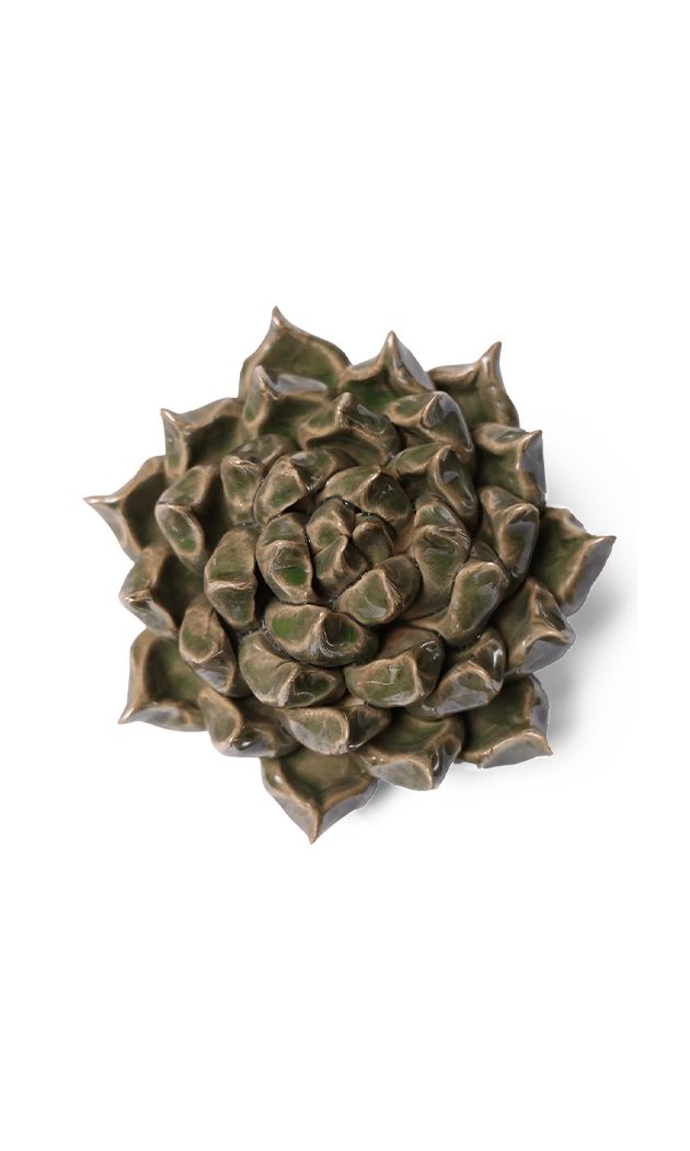 Green - Succulent - handmade by Chive Studio Toronto