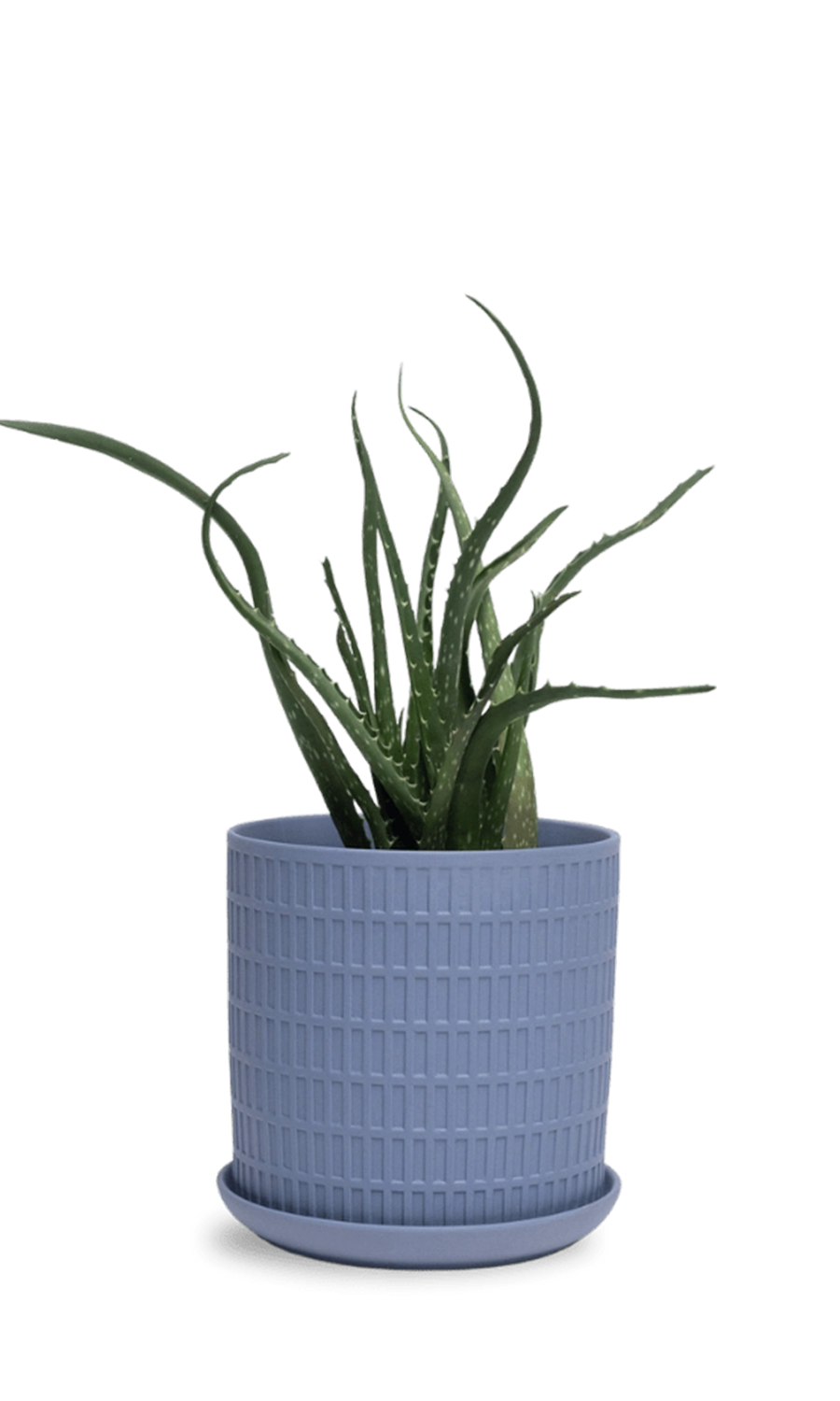 Blue Grey Porcelain Pot with Drainage Hole and Saucer - Virago - designed by Chive Studio Toronto