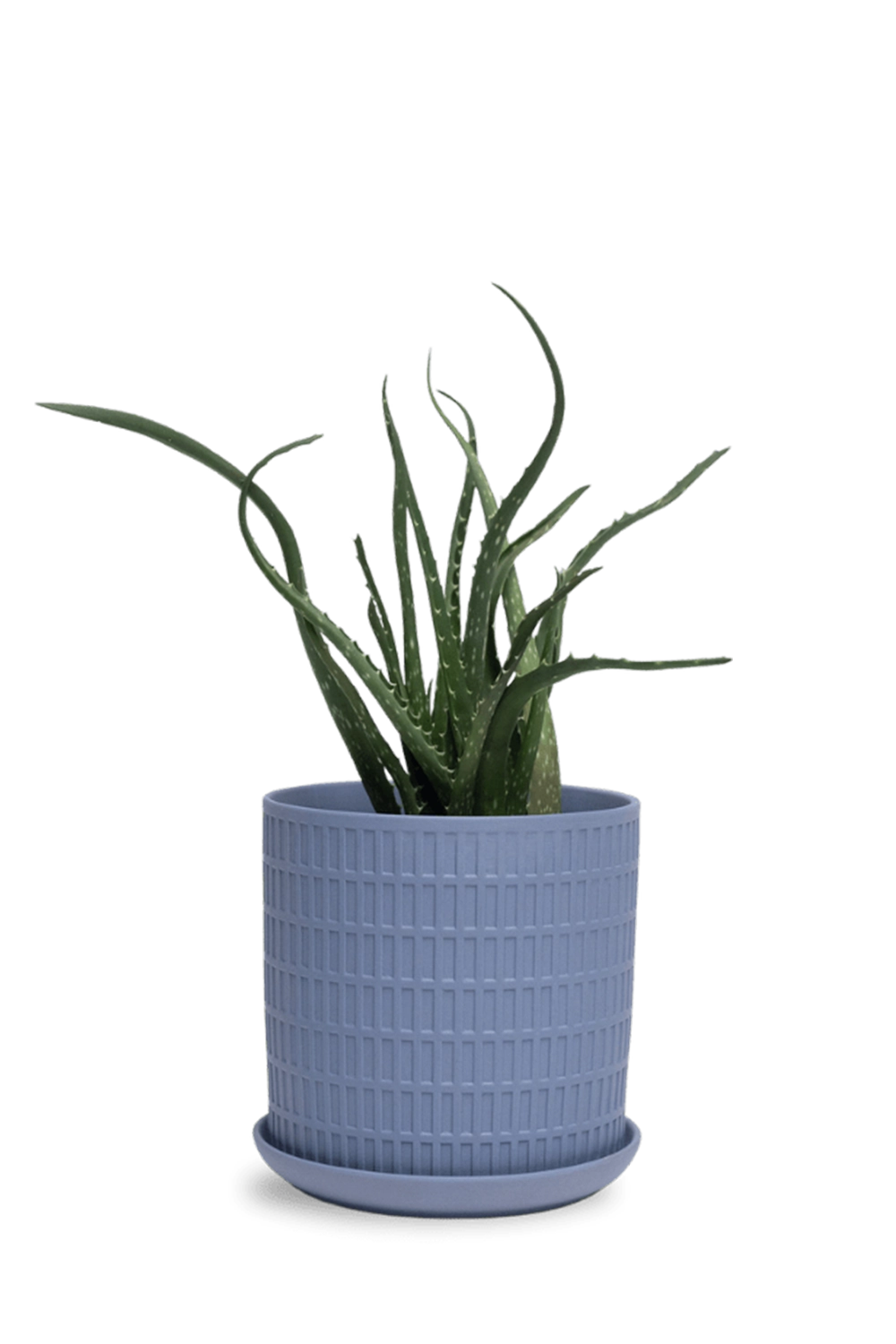 Blue Grey Porcelain Pot with Drainage Hole and Saucer - Virago - designed by Chive Studio Toronto