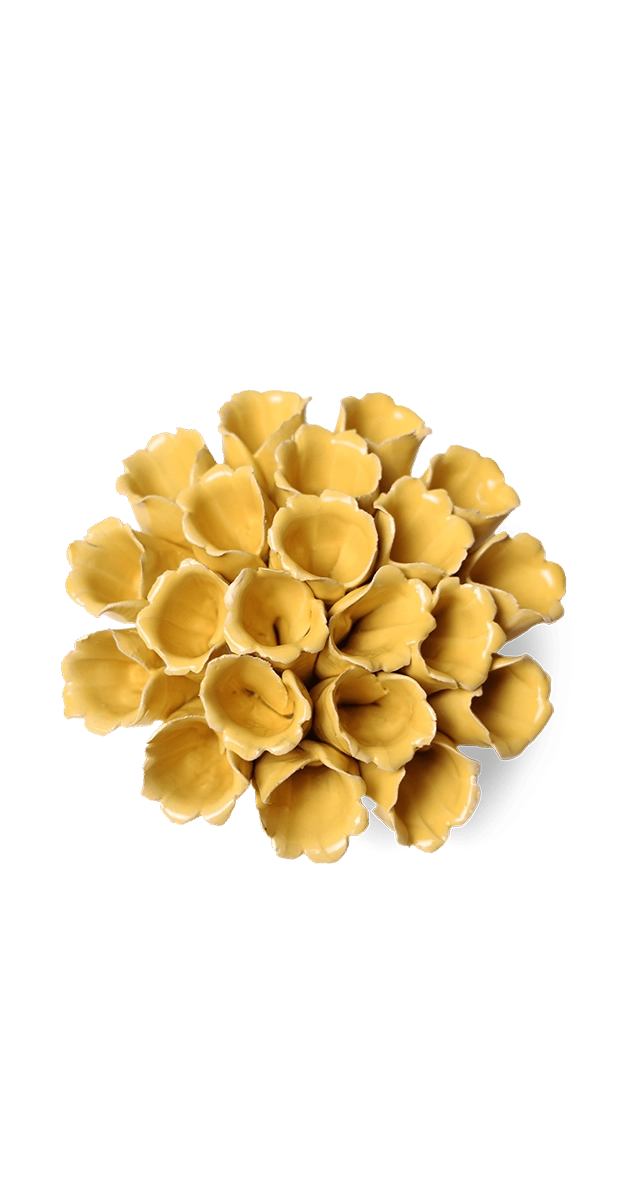 Yellow - Medium Polyp - handmade by Chive Studio Toronto