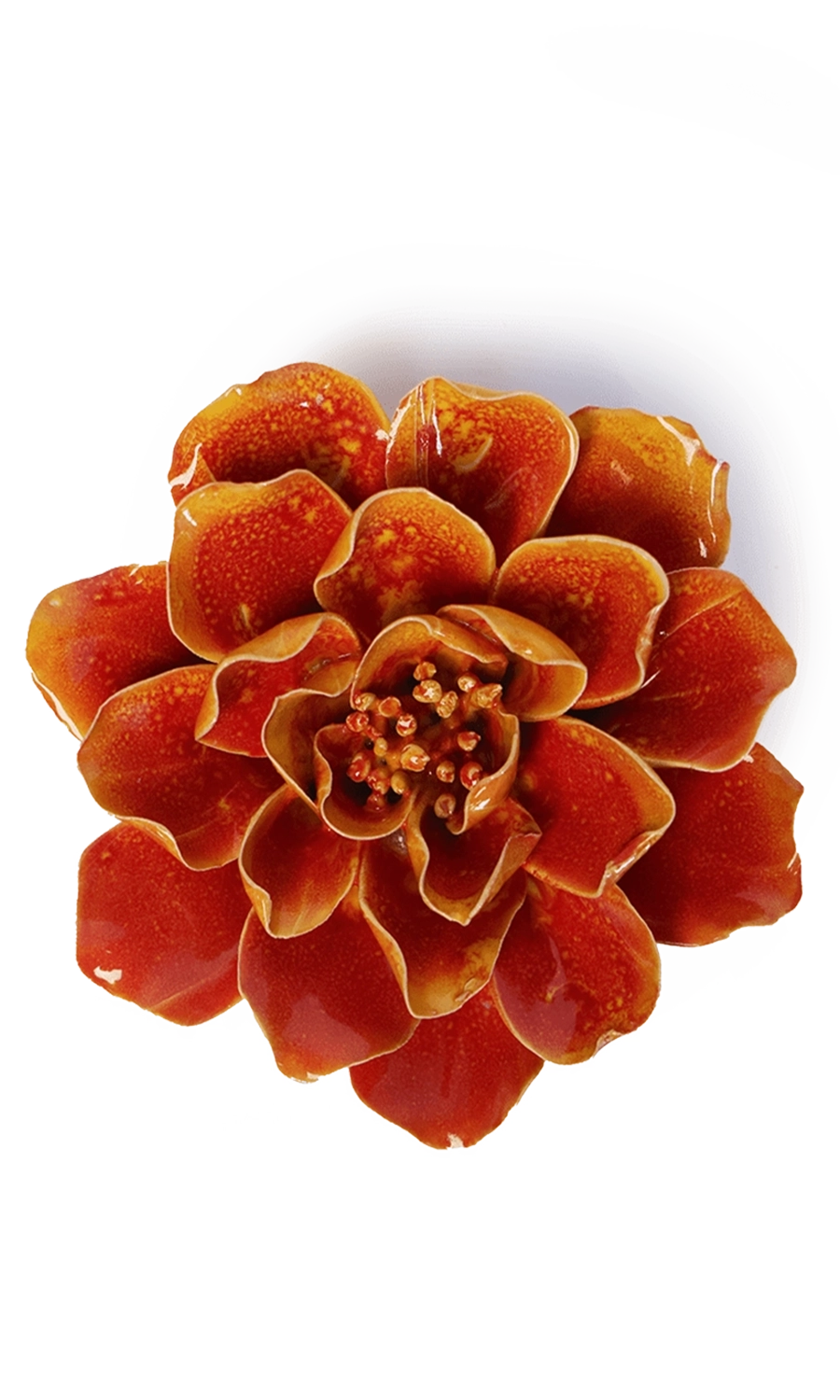orange yellow Coreopsis ceramic wall flower -- France Collection -- handmade by Chive Studio Toronto