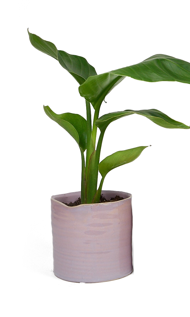 Mauve Ceramic Planter Pot - Channa - handmade by Chive Studio Toronto