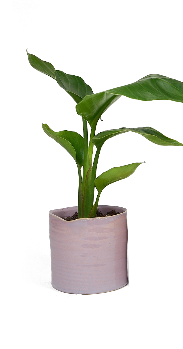 Mauve Ceramic Planter Pot - Channa - handmade by Chive Studio Toronto