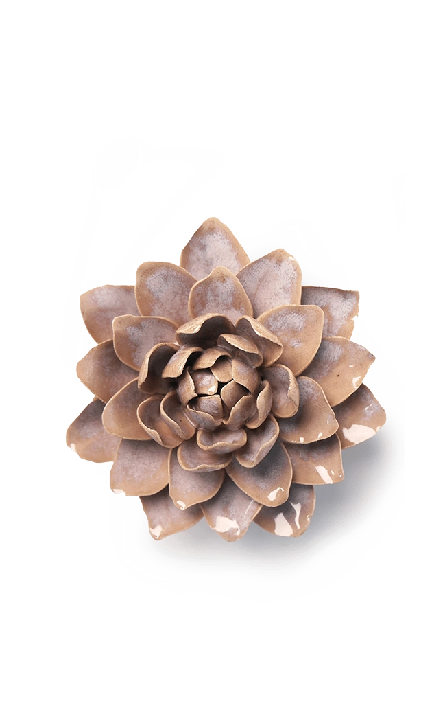Pink Sand - Starbrite Water Lily - handmade by Chive Studio Toronto