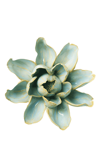 Robin's Egg Blue Aurora Water Lily - handmade by Chive Studio Toronto