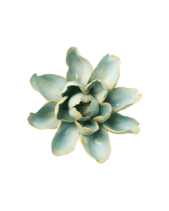 Robin's Egg Blue Aurora Water Lily - handmade by Chive Studio Toronto
