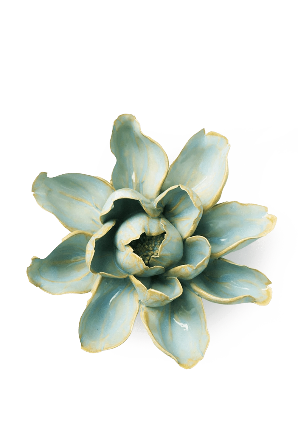 Robin's Egg Blue Aurora Water Lily - English Garden Collection - handmade by Chive Studio Toronto