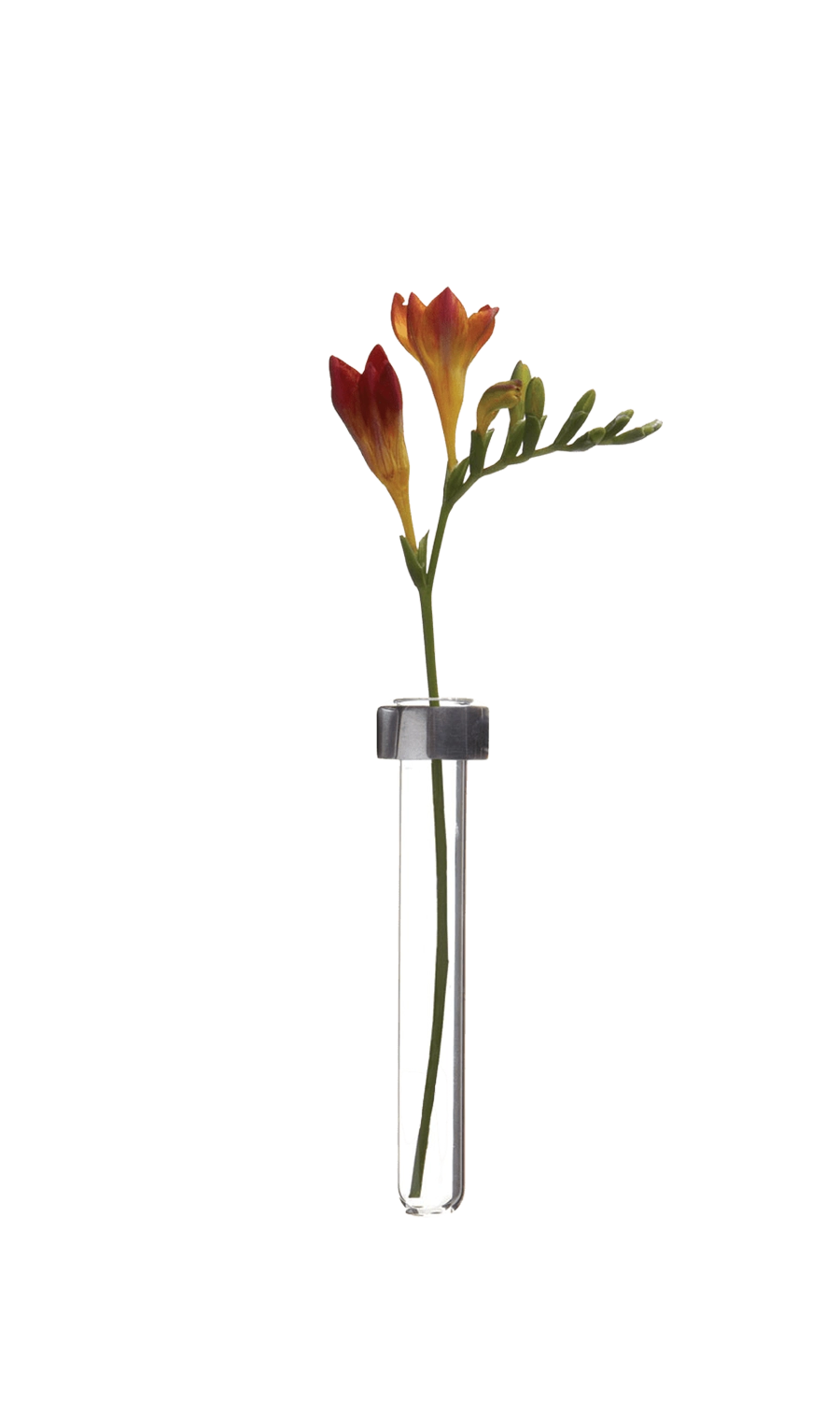 Matte Magnetic Flower Test Tube Holder - Alu - handmade by Chive Studio Toronto