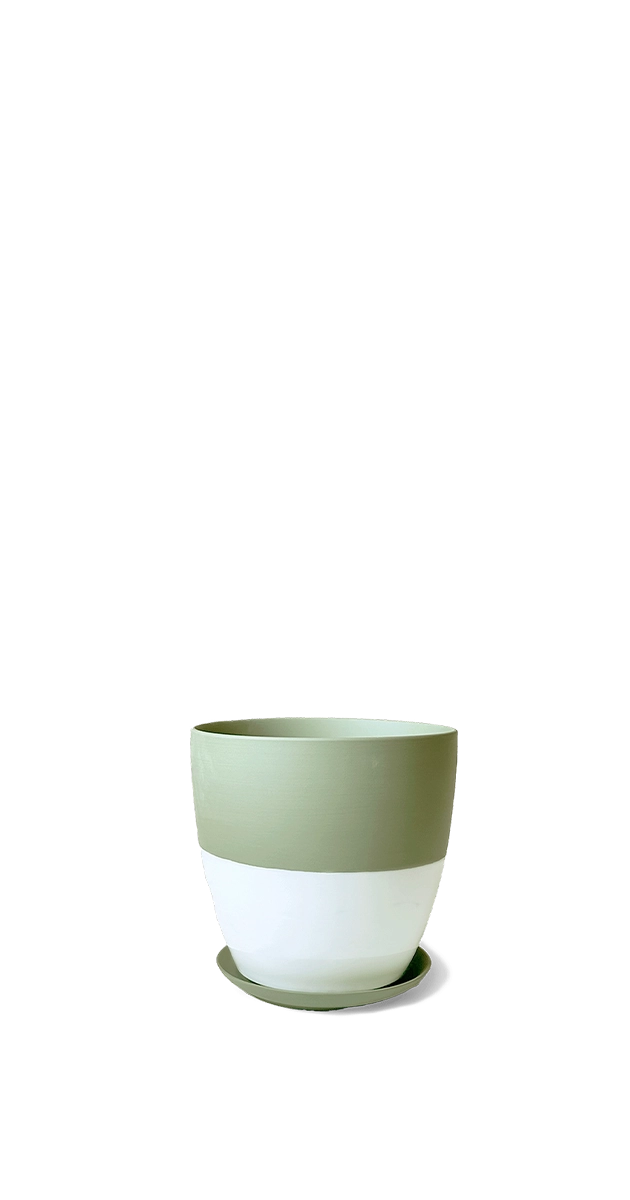 Olive Porcelain Modern Indoor Plant Pot With Saucer - Dyad - handmade by Chive Studio Toronto
