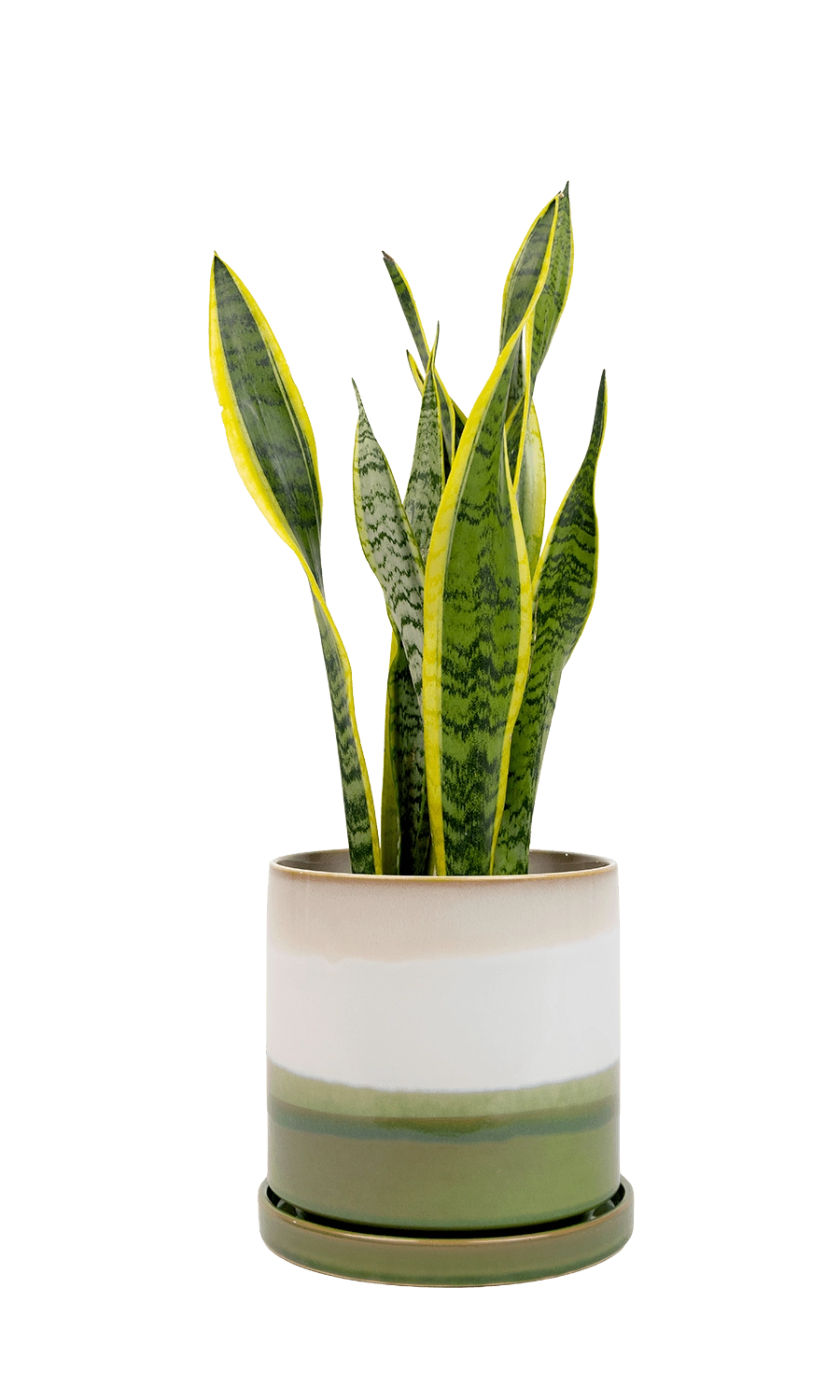 Green Layers Minute Large Ceramic Pot with Drainage - Large Indoor Ceramic Pots - handmade by Chive Studio Toronto