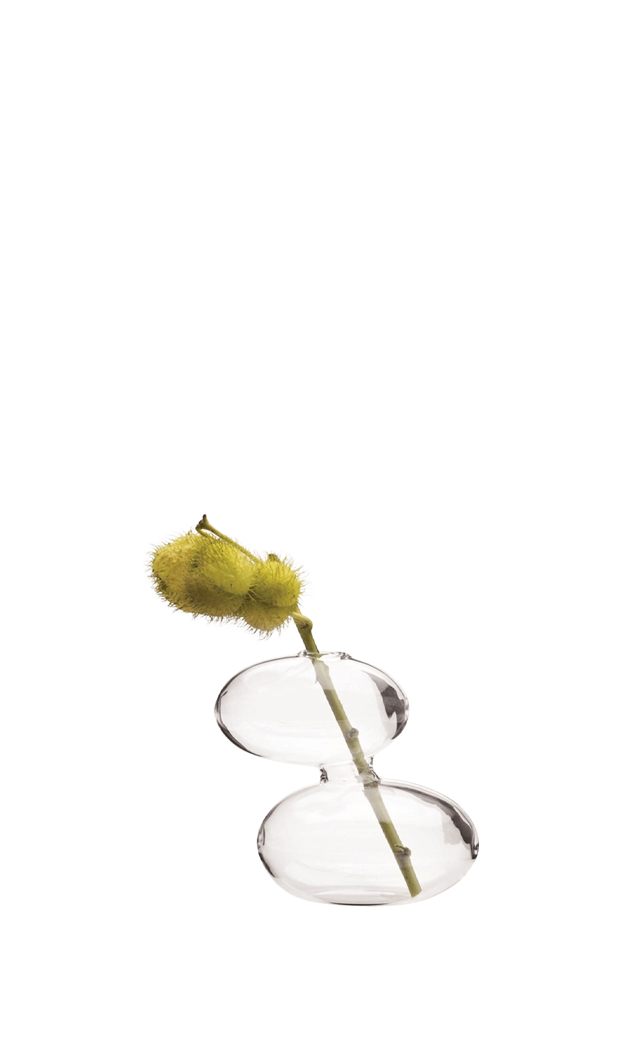 Clear Glass Modern Flower Vase - Raygun - handmade by Chive Studio Toronto