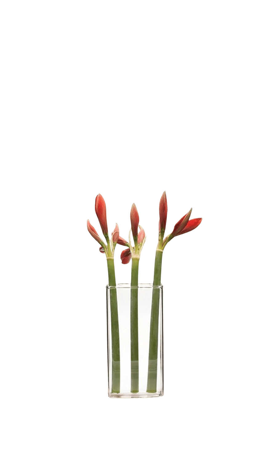 Clear Glass Modern Flower Vase - Wall Brick - handmade by Chive Studio Toronto