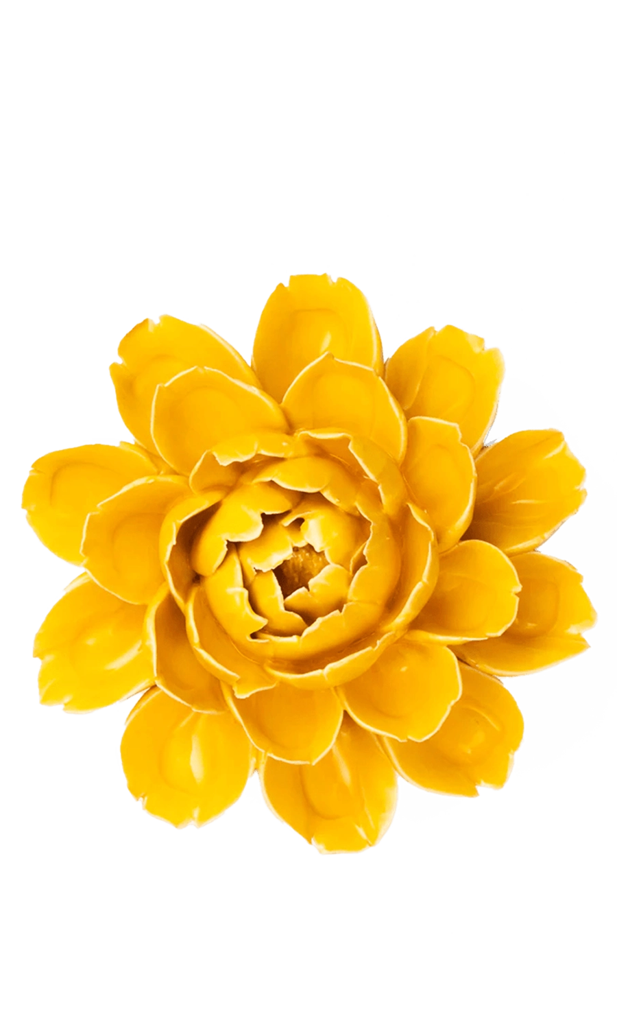 Burnt Yellow Empire Cabbage Flower - France Collection - handmade by Chive Studio Toronto