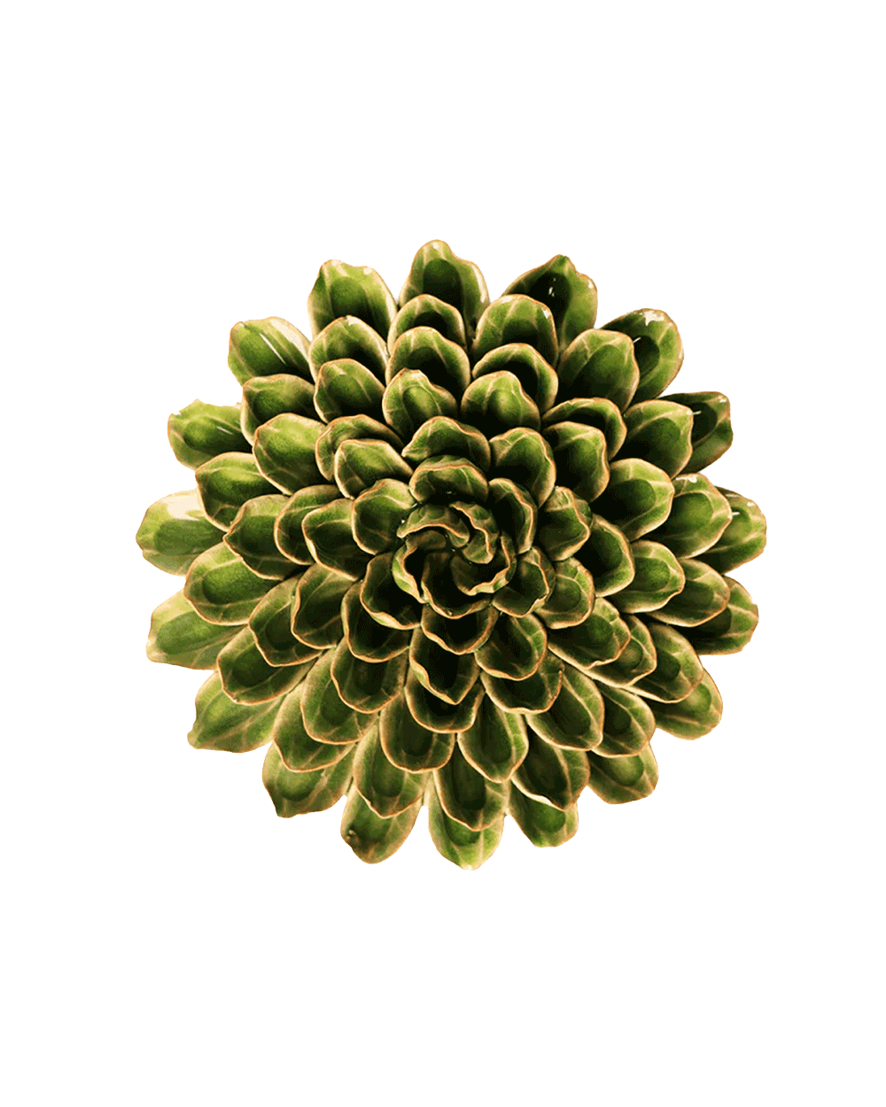 Avocado Green - Unicorn Zinnia - handmade by Chive Studio Toronto