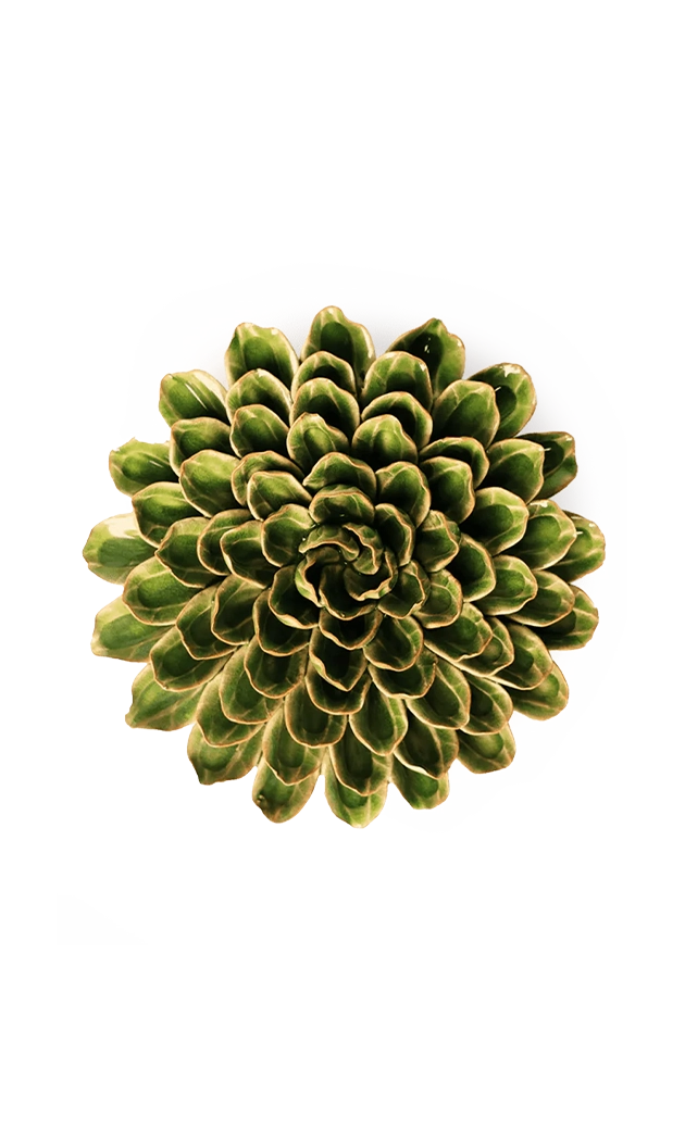 Avocado Green - Unicorn Zinnia - handmade by Chive Studio Toronto