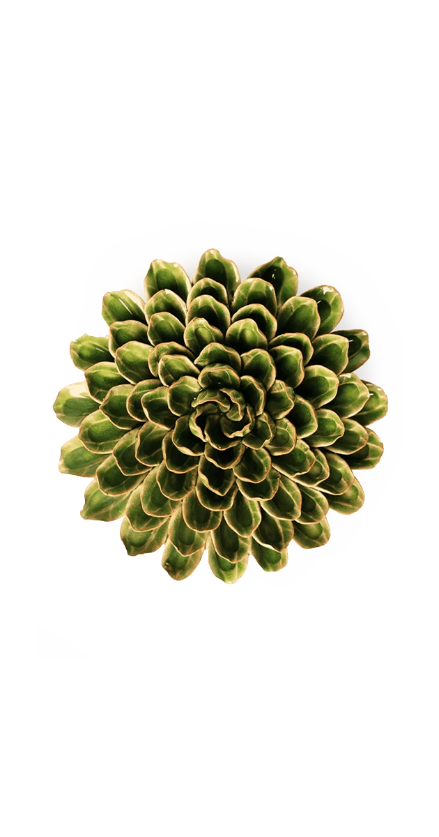 Avocado Green - Unicorn Zinnia - handmade by Chive Studio Toronto