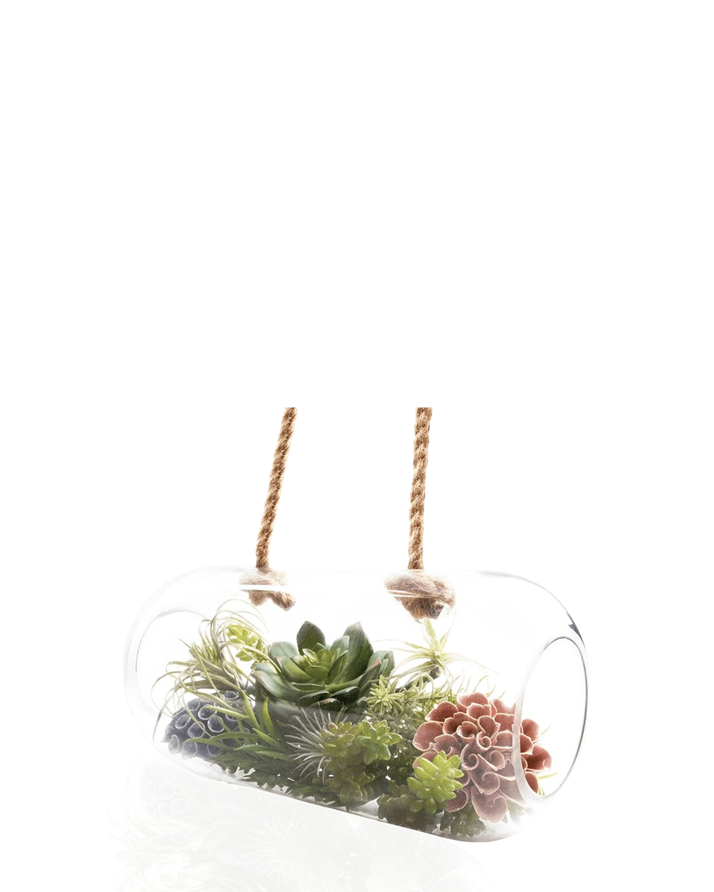 Clear Hanging Tube Glass Large Hanging Terrarium - Bolsk - handmade by Chive Studio Toronto