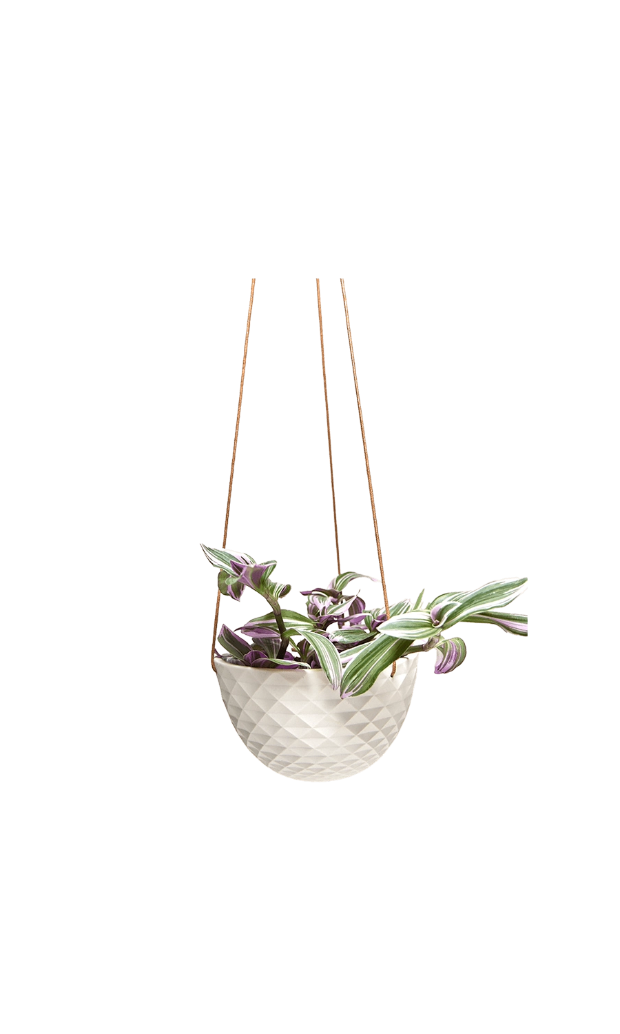Blue Grey Porcelain Modern Hanging Planter - Mofo - handmade by Chive Studio Toronto