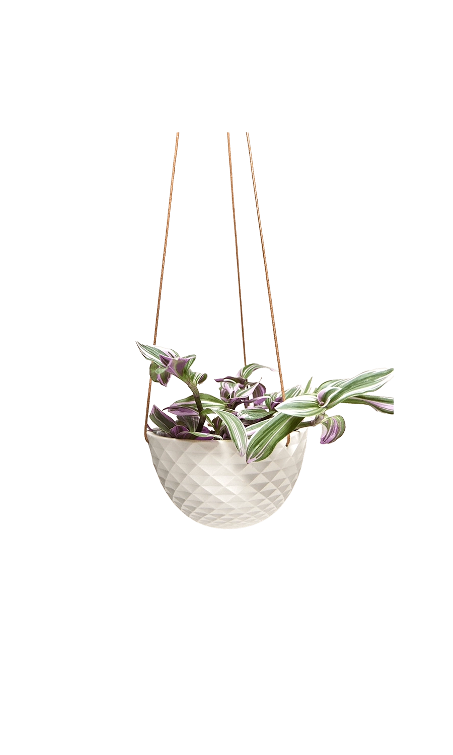White Porcelain Modern Hanging Planter - Mofo - handmade by Chive Studio Toronto