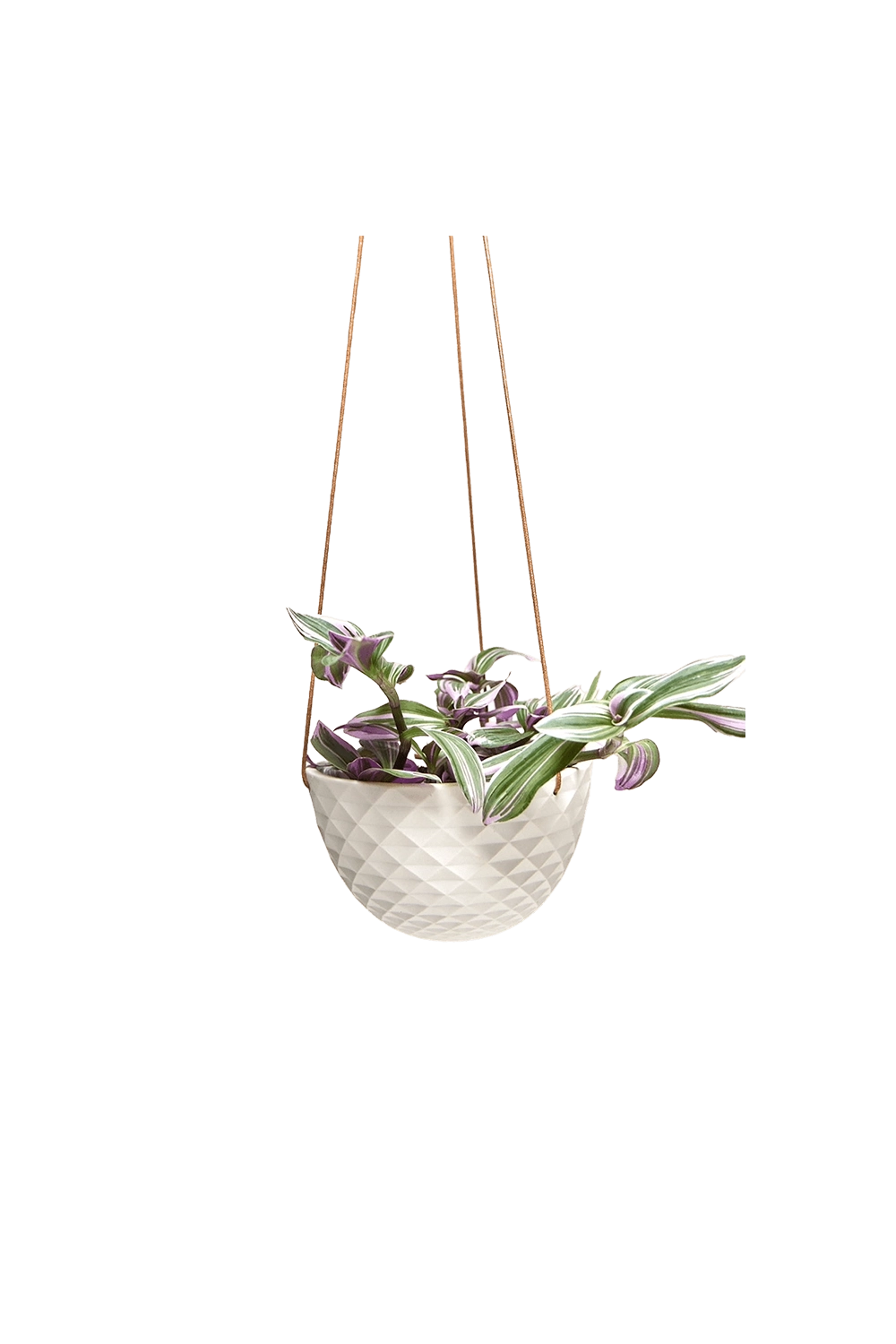 White Porcelain Modern Hanging Planter - Mofo - handmade by Chive Studio Toronto