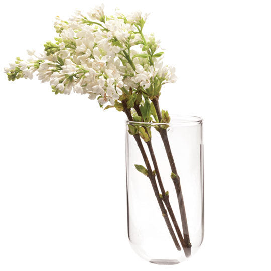 Unique Hanging Glass Wall Cup Vase