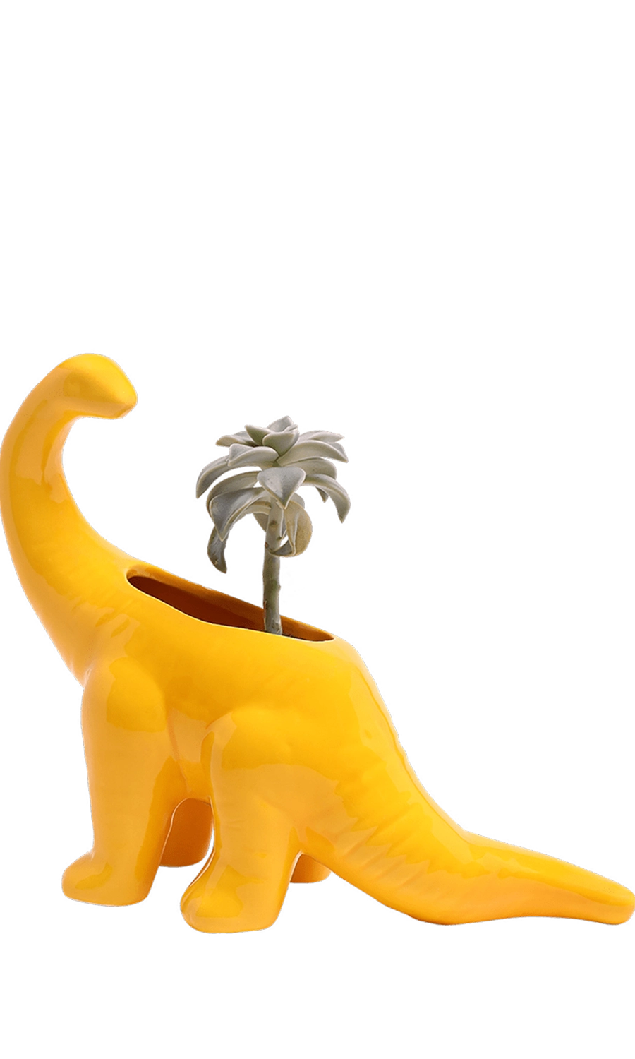 Meadowlark Yellow Ceramic Indoor Plant Pot for Succulents - Brontosaurus - handmade by Chive Studio Toronto