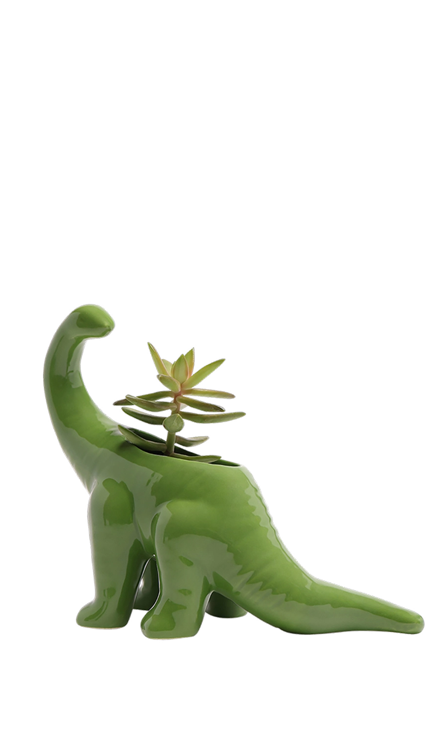 Green Ceramic Indoor Plant Pot for Succulents - Brontosaurus - handmade by Chive Studio Toronto