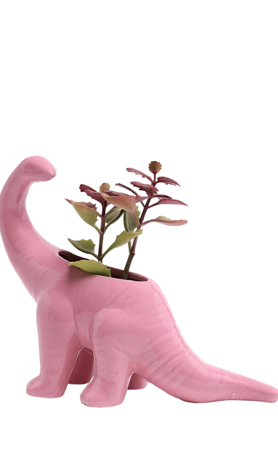 Pink Ceramic Indoor Plant Pot for Succulents - Brontosaurus - handmade by Chive Studio Toronto