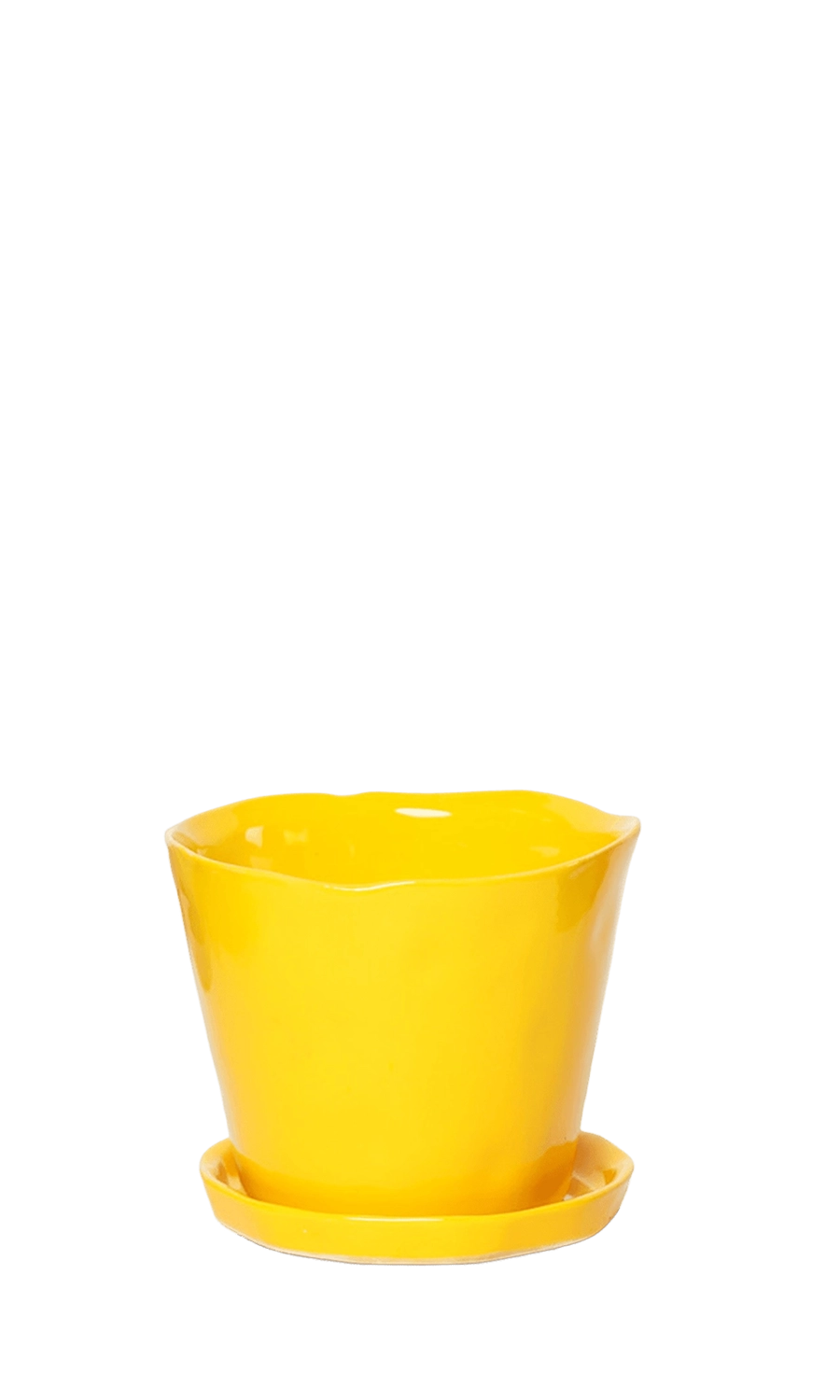 Meadowlark yellow Large Ceramic Plant Pot with Drainage Hole and Saucer - Tika - handmade by Chive Studio Toronto
