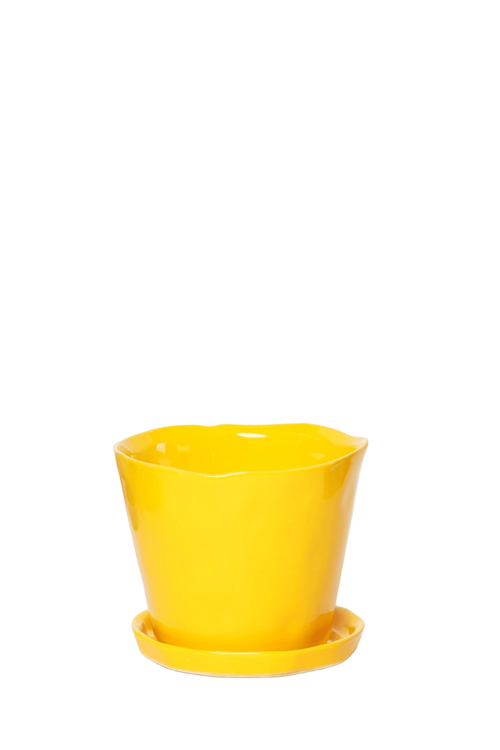 Meadowlark yellow Large Ceramic Plant Pot with Drainage Hole and Saucer - Tika - handmade by Chive Studio Toronto