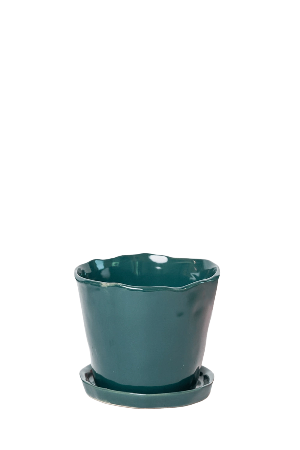 Spruce Large Ceramic Plant Pot with Drainage Hole and Saucer - Tika - handmade by Chive Studio Toronto