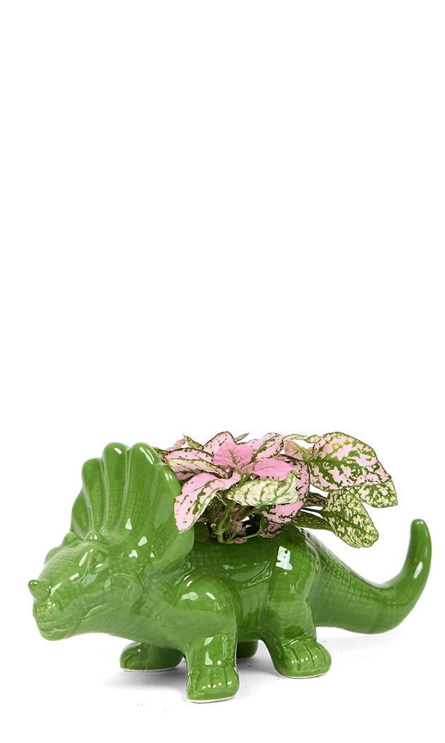 Foliage - Triceratops - handmade by Chive Studio Toronto