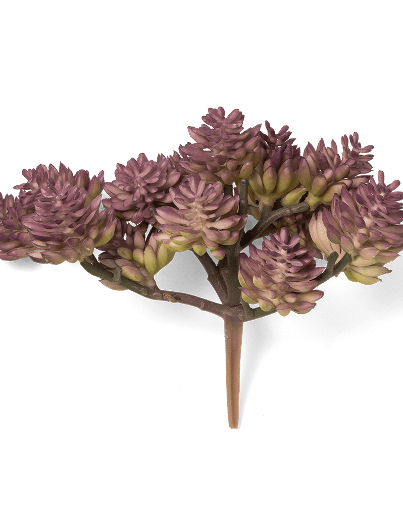 Premium Artificial Succulents - Lifelike Botanical Decor - Chive Ceramics Studio - Chive US Wholesale