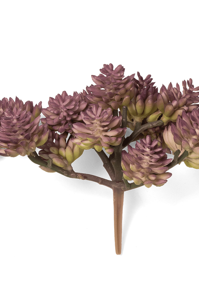 Premium Artificial Succulents - Lifelike Botanical Decor - Chive Ceramics Studio - Chive US Wholesale
