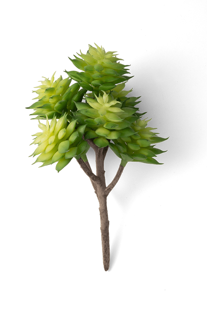 Premium Artificial Succulents - Lifelike Botanical Decor - Chive Ceramics Studio - Chive US Wholesale