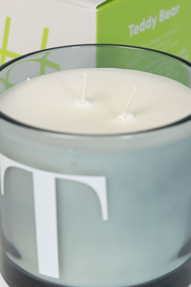 Teddy Bear - Coconut & Soy Wax Blend Candle - Chive Ceramics Studio - Candles - Chive Ceramics Studio
