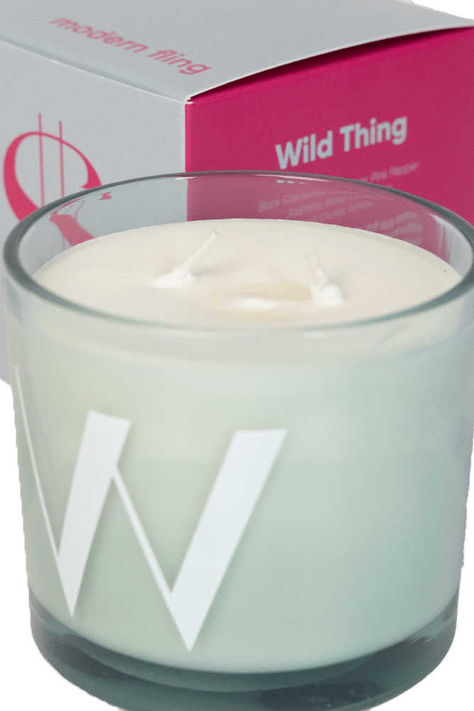 Wild Thing - Coconut & Soy Wax Blend Candle - Chive Ceramics Studio - Candles - Chive Ceramics Studio