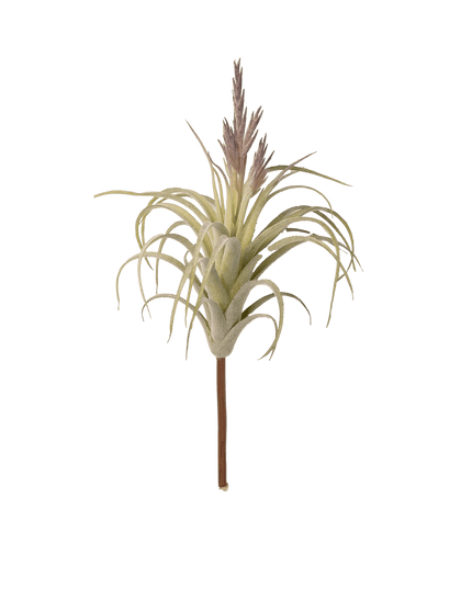 Air Plant Fake Lifelike Realistic Unkillable! - Chive Ceramics Studio - Tools & Accessories - Chive Wholesale