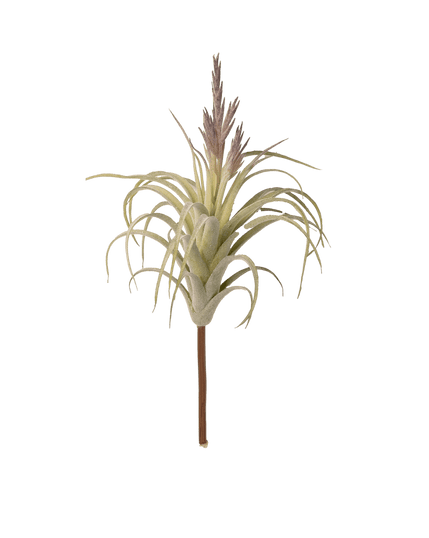 Air Plant Fake Lifelike Realistic Unkillable! - Chive Ceramics Studio - Tools & Accessories - Chive Wholesale