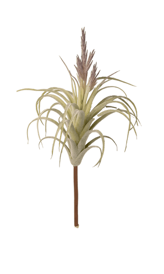 Air Plant Fake Lifelike Realistic Unkillable! - Chive Ceramics Studio - Tools & Accessories - Chive Wholesale