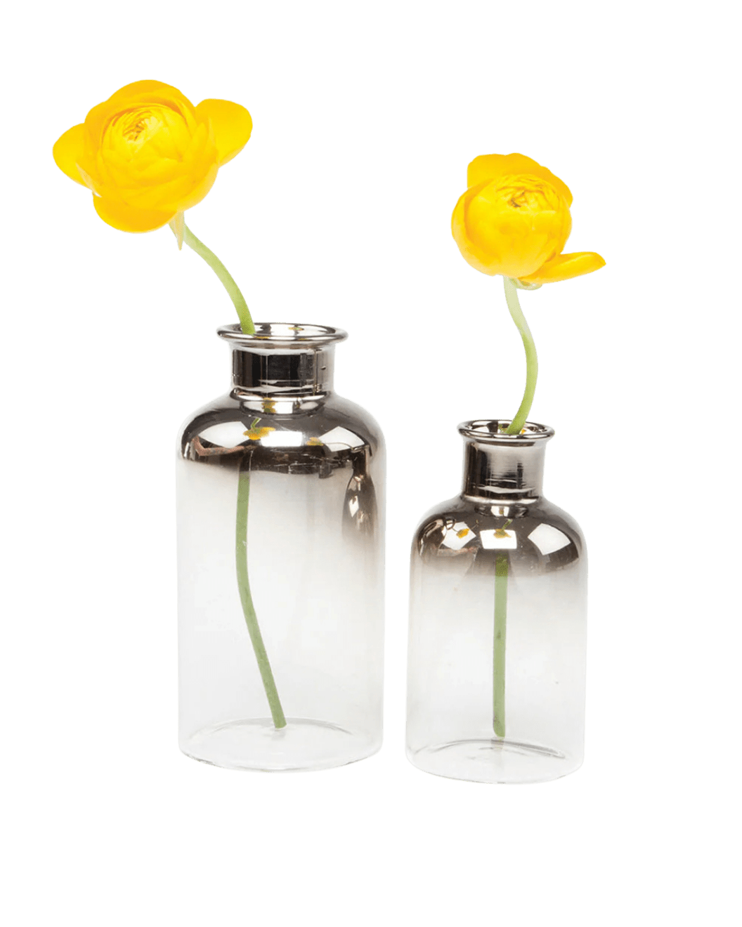 Aptar Glass Modern Flower Vase - Chive Ceramics Studio - Vases - Chive Ceramics Studio