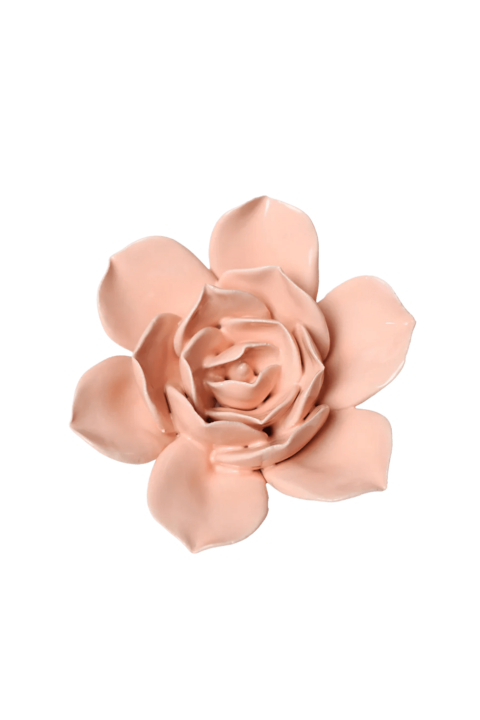 December Birth Flower - Narcissus ceramic wall flower — Birth Flower Collection — handmade by Chive Studio Toronto