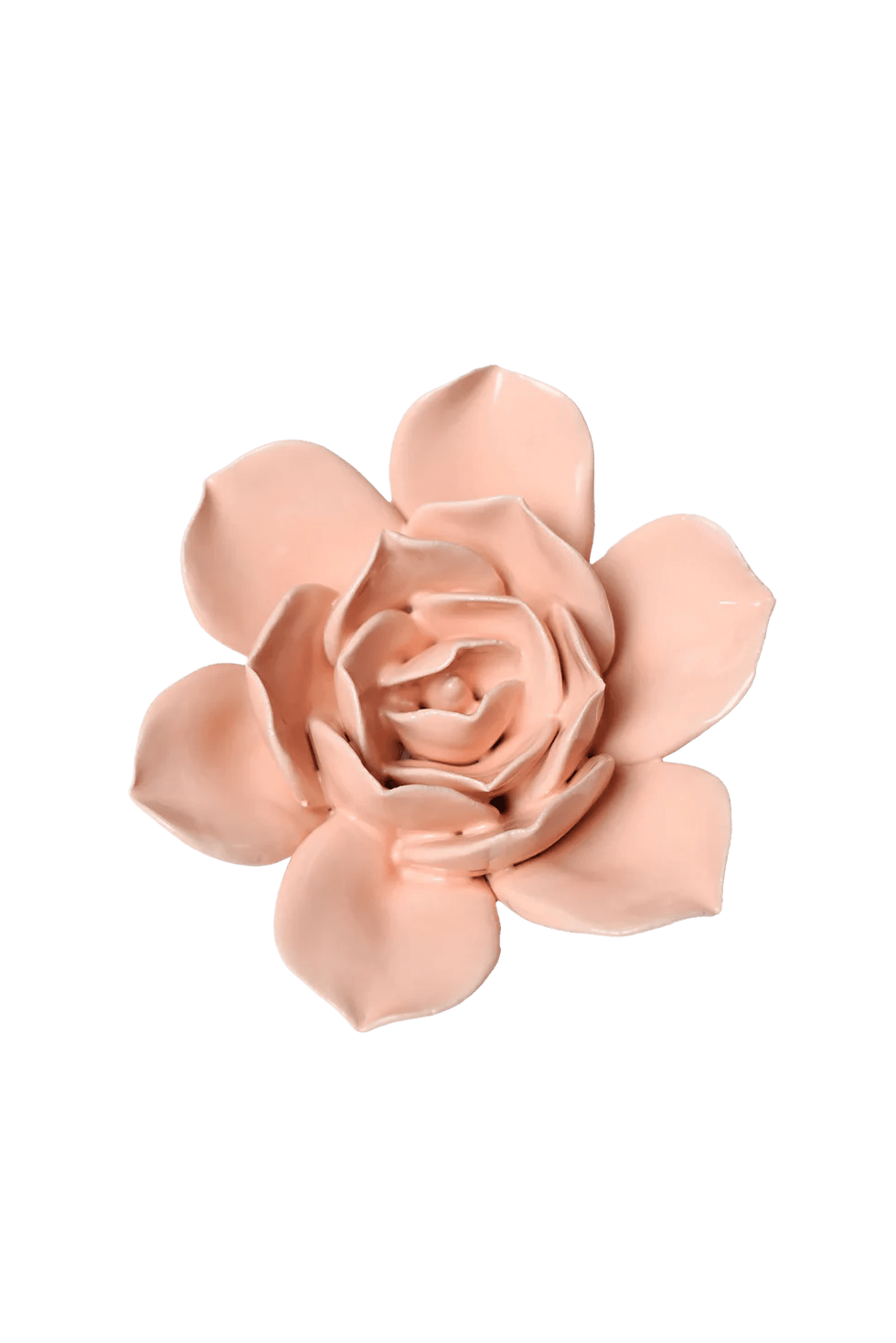 December Birth Flower - Narcissus ceramic wall flower — Birth Flower Collection — handmade by Chive Studio Toronto