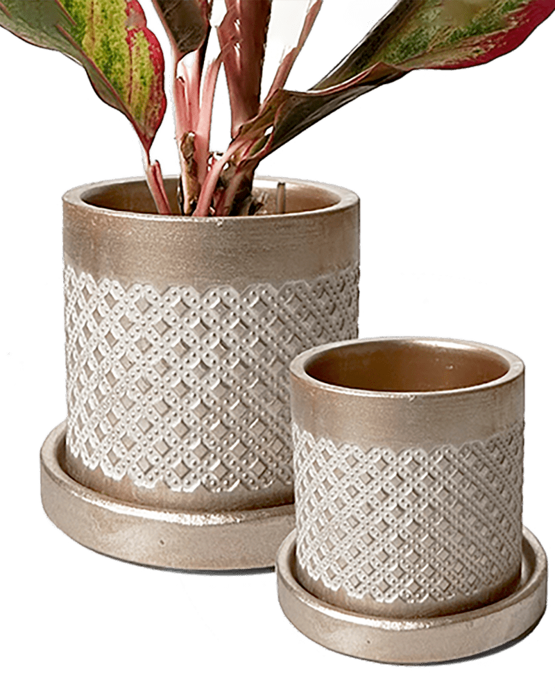 Balter Ceramic Pot And Saucer Set - Chive Ceramics Studio - Pots - Chive Ceramics Studio