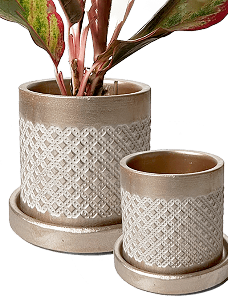 Balter Ceramic Pot And Saucer Set - Chive Ceramics Studio - Pots - Chive Ceramics Studio