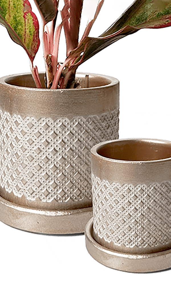 Balter Ceramic Pot And Saucer Set - Chive Ceramics Studio - Pots - Chive Ceramics Studio