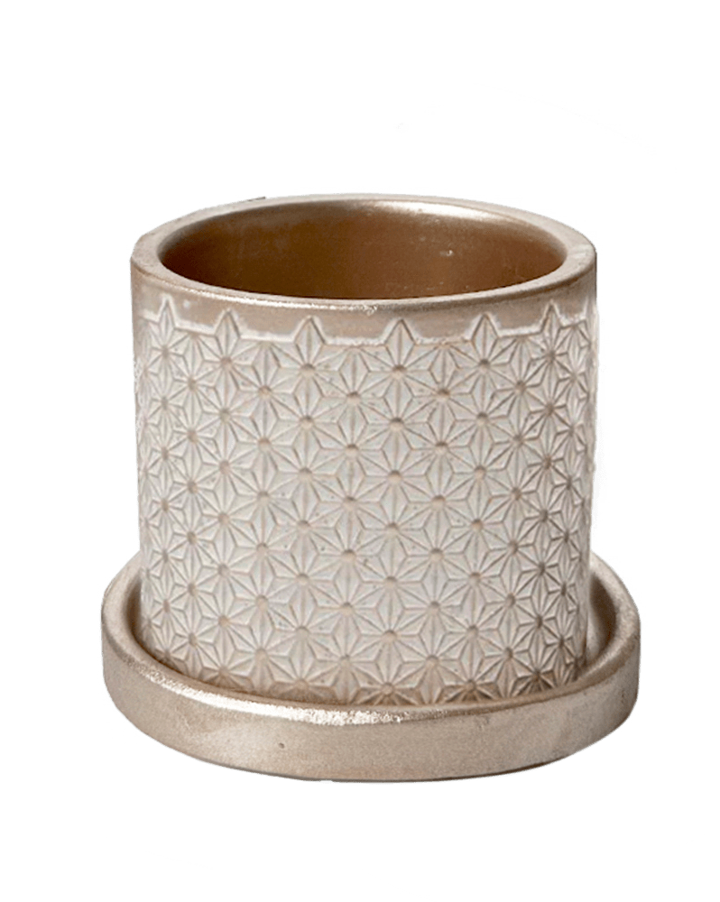 Balter Ceramic Pot And Saucer Set - Chive Ceramics Studio - Pots - Chive Ceramics Studio